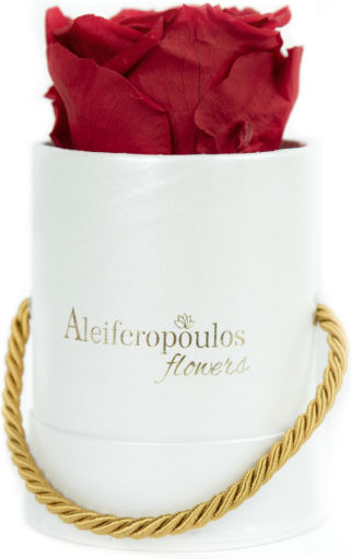 RB16 Aleiferopoulos Flowers RB16 Aleiferopoulos Flowers