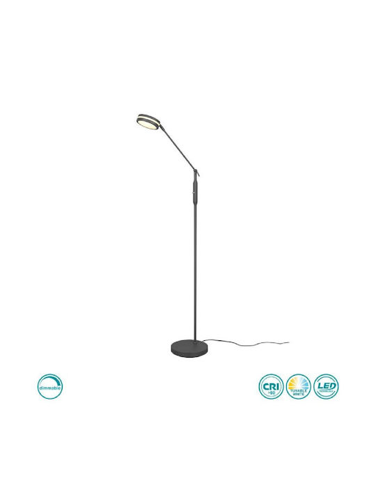 Trio Lighting Franklin LED Floor Lamp H133xW23cm. with Adjustable White Light 650lm Black