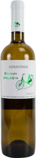 Ampelones Karavitaki Wine Malvasia Aromatica White Dry 750ml