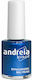 Andreia Professional Hypoallergenic Pocket Glos...