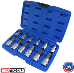 SKS Tools Chei tubulare cu Vârfuri Allen și Patrat de Prindere 1/2'' Set 12buc