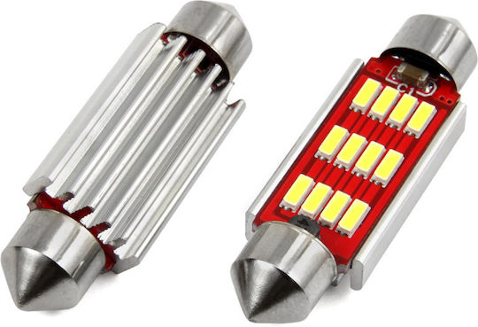 LM Digital Λάμπες Αυτοκινήτου CB98 Canbus LED 24V 2τμχ