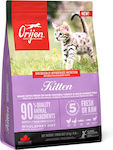 Orijen Kitten Dry Food for Juvenile Cats with Turkey / Chicken / Fish 0.34kg