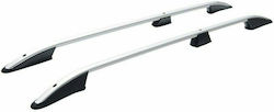 Omtec (with Roof Rack Legs) Silver