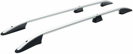 Omtec (with Roof Rack Legs) Silver