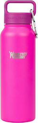 Healthy Human Stein Bottle Recyclable Thermos B...