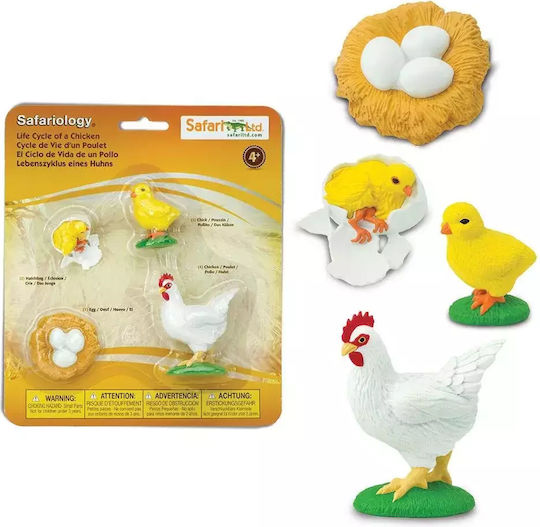 Safari Ltd Life Cycle of a Chicken STEM Образователна Игра Образователни за 4+ години Години