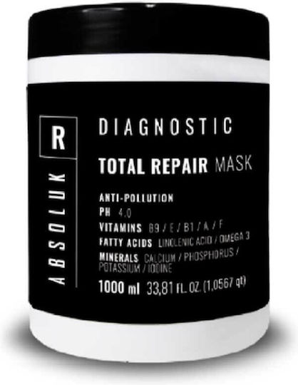 Absoluk Hair Care Diagnostic Clay Oily Hair Μάσκα Μαλλιών για Λιπαρότητα 1000ml