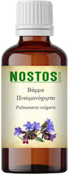 Nostos Pure Βάμμα Πνευμονόχορτο 100ml