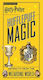 Harry Potter - Hufflepuff Magic, Artifacts from the Wizarding World