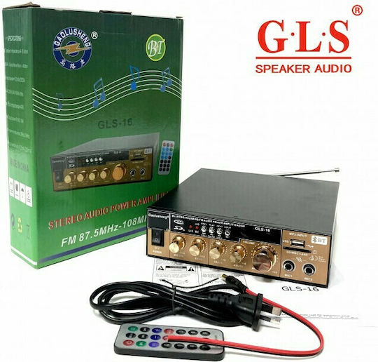Karaoke Amplifier GLS-16 Gold