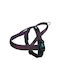 Nobby Dog Harness Training Classic Preno Brown Medium / Small 25mm x 38-50cm 80531-23