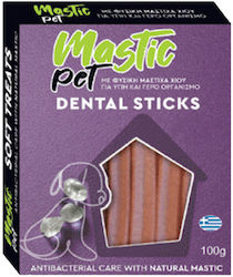 Mastic Pet Stick Gegen Stein & Platte 100gr