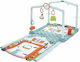 Fisher Price Activity Gym Playhouse for Newborns