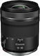 Canon Voller Rahmen Kameraobjektiv RF 15-30mm f/4.5-6.3 IS STM Weitwinkel für Canon RF Mount Black