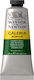 Winsor & Newton Acrylic Paint Set in Green color Hookers Green 60ml 1pcs
