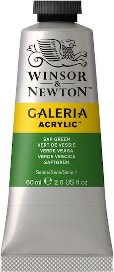 Winsor & Newton Acrylic Paint Set in Green color Sap Green 60ml 1pcs
