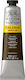 Winsor & Newton Acrylic Paint Set in Brown color Raw Umber 200ml 1pcs