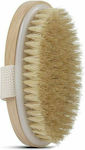 Aria Trade With Natural Agave Hair Brush Massage for the Body Beige AT01724