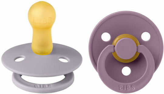 Bibs Pacifiers Rubber Fossil Grey / Mauve for 6-18 months 2pcs