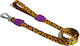 Zee-Dog Hundeleine/Führleine Riemen Honey Klein in Gelb Farbe 1.2m x 1.5cm