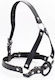 Toyz4lovers Head Harness & Ring Gag in Schwarz Farbe