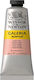 Winsor & Newton Galeria Ακρυλικό Χρώμα Ζωγραφικ...