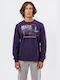 Paco & Co Men's Sweatshirt Purple