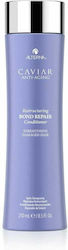 Alterna Caviar Restructuring Bond 250ml Alterna Caviar Restructuring Bond 250ml