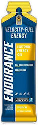 Applied Nutrition Velocity Fuel Energy Enduranc...