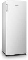 Intercool SDC-250W Ψυγείο Συντήρησης 242lt Υ143.4xΠ55xΒ44.2εκ. Λευκό