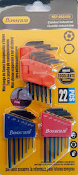 Bossram Set mit 8 Torx-Schlüsseln Bossram