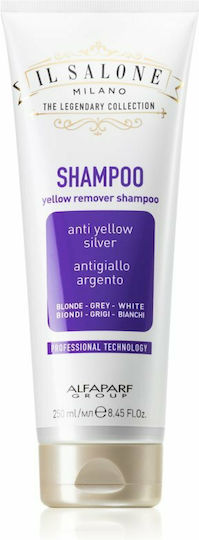 Alfaparf Milano Professional Sampon de Păr Păstrarea Culorii pentru Vopsit Păr 250ml