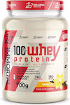 Immortal Nutrition 100% Whey Protein Molkenprotein mit Geschmack Vanille 700gr