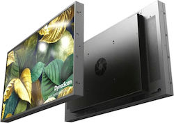 DynaScan DS323LT4 Public Display 32"