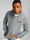 Puma Essentials Men's Sweatshirt Jacket with Hood and Pockets Gray