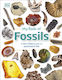 My Book of Fossils, A Fact-filled Guide to Prehistoric Life