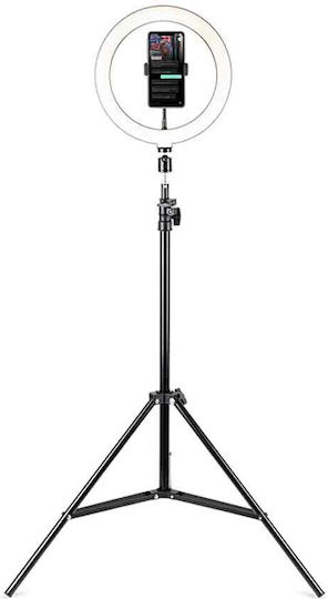 Havit Ring Light ST7012 26cm with Tripod Floor and Mobile Phone