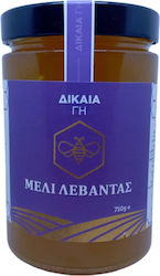 Δικαία Γη Μέλι Λεβάντας 750gr