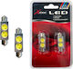 Xtec Λάμπες Αυτοκινήτου & Μοτοσυκλέτας C5W LED 6000K Ψυχρό Λευκό 12V 3W 2τμχ