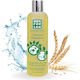 Men for San Rodent Shampoo Wheat Germ 300ml