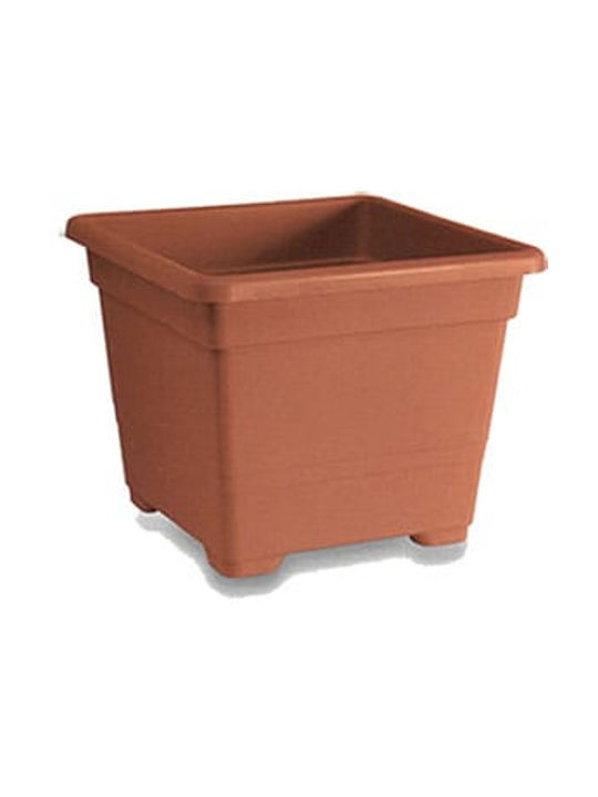 Viosarp Begonia Flower Pot 30x22cm in Brown Color