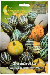 Primasem Ornamentale In Miscuglio Seeds Pumpkinς Zucchini 1gr