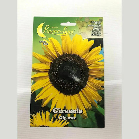 Primasem Σπόροι Ήλιου 1gr