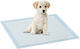 Pet Interest Επιδαπέδια Πάνα Σκύλου 60x60cm 20τμχ