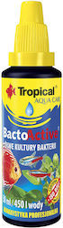 Tropical Bactoactive Aquarium Water Treatment for Environment Protection 250ml 0.25kg Tropical Bactoactive Aquarium Water Treatment for Environment Protection 250ml 0.25kg