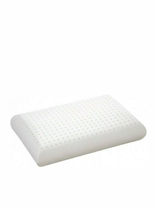 Douceur Aloe Vera Latex Bed Pillow 45x65x7cm