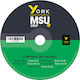 York Practice Tests for Msu C2