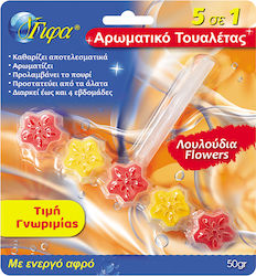 Γίφα Hellas 5 σε 1 Block Λεκάνης με Άρωμα Λουλουδιών 50gr