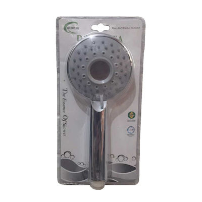 Handheld Showerhead